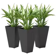 Three black rectangular planter pots with green leafy plants, shown against a plain white background.